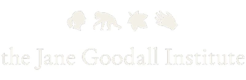 jane goodall